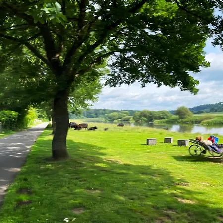 Kuenstler-wohnraum *